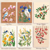 Impression A5/A4 - Fleurs & Oiseaux