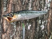 Image 1 of SPEEDBAITS Custom Airbrushed Topwater Popper V3