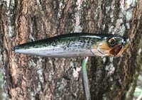 Image 4 of SPEEDBAITS Custom Airbrushed Topwater Popper V3