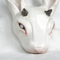 Image 2 of White Rabbit 