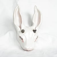 Image 1 of White Rabbit 