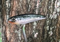 Image 1 of SPEEDBAITS Custom Airbrushed Rapala X-Rap Subwalk CLONE