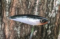 Image 2 of SPEEDBAITS Custom Airbrushed Rapala X-Rap Subwalk CLONE
