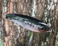 Image 3 of SPEEDBAITS Custom Airbrushed Rapala X-Rap Subwalk CLONE