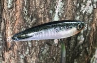 Image 5 of SPEEDBAITS Custom Airbrushed Rapala X-Rap Subwalk CLONE