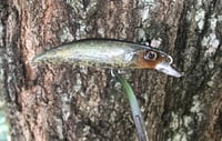 Image 1 of SPEEDBAITS Custom Airbrushed Jerkbait V3