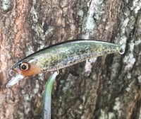 Image 2 of SPEEDBAITS Custom Airbrushed Jerkbait V3
