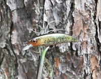 Image 3 of SPEEDBAITS Custom Airbrushed Jerkbait V3