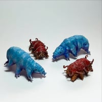 Image 2 of Mini Tardigrades