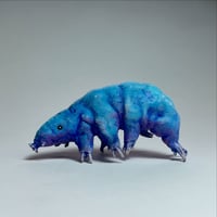 Image 3 of Mini Tardigrades