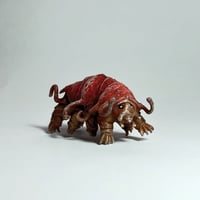 Image 4 of Mini Tardigrades