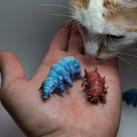 Image 5 of Mini Tardigrades
