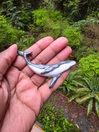 Humpback Whale Magnet 