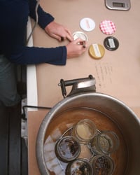 Image 2 of Cooking With Colour / Natural Dye Class