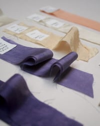 Image 3 of Cooking With Colour / Natural Dye Class