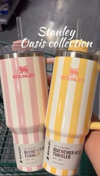 Image 9 of Stanley™️ Oasis Collection 40 Oz. | “Peach Whip Cabana Gloss”