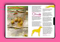 Image 2 of Ghost Pals Issue 4 - DIGITAL 