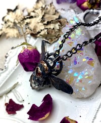 Image 3 of Immortalized Queen Blue Bubble Bee