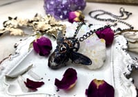 Image 4 of Immortalized Queen Blue Bubble Bee