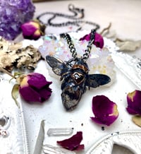 Image 5 of Immortalized Queen Blue Bubble Bee