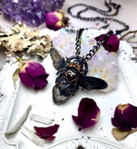 Image 2 of Immortalized Queen Blue Bubble Bee