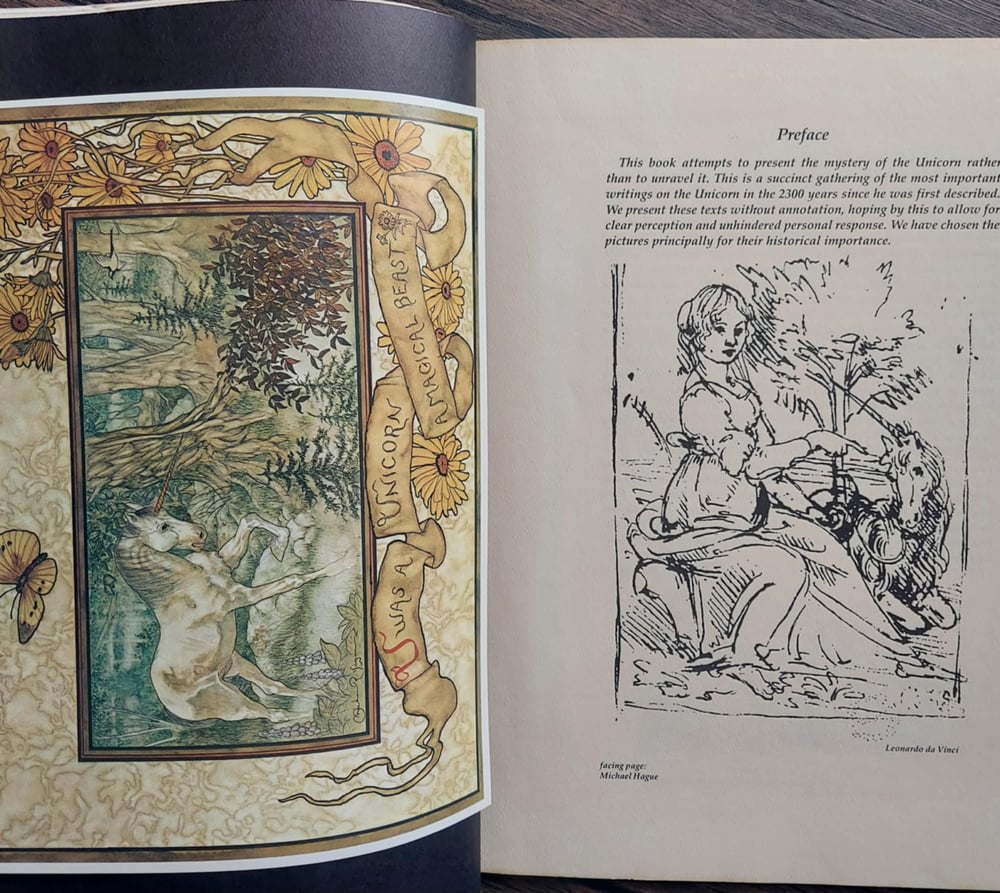 A Book of Unicorns, by Welleran Poltarnees