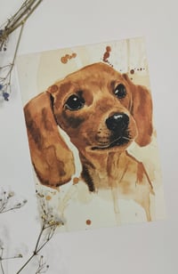 Puppy postcard 