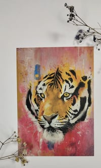 Tiger postcard 