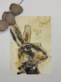 Hare postcard 
