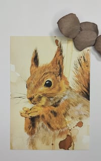 Squirrel postcard 