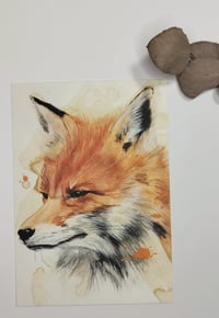 Fox postcard II