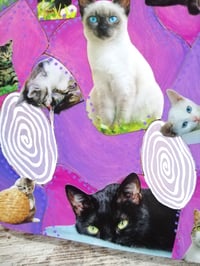 Image of Pussycat Portals