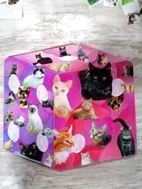 Image of Pussycat Portals