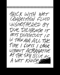 Image 2 of REGULAR ACID CONSCIOUSNESS, Paul Ebenkamp