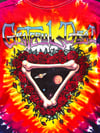 Grateful Dead NEVER WORN 1992 Steal Your Face T-Shirt - Size L