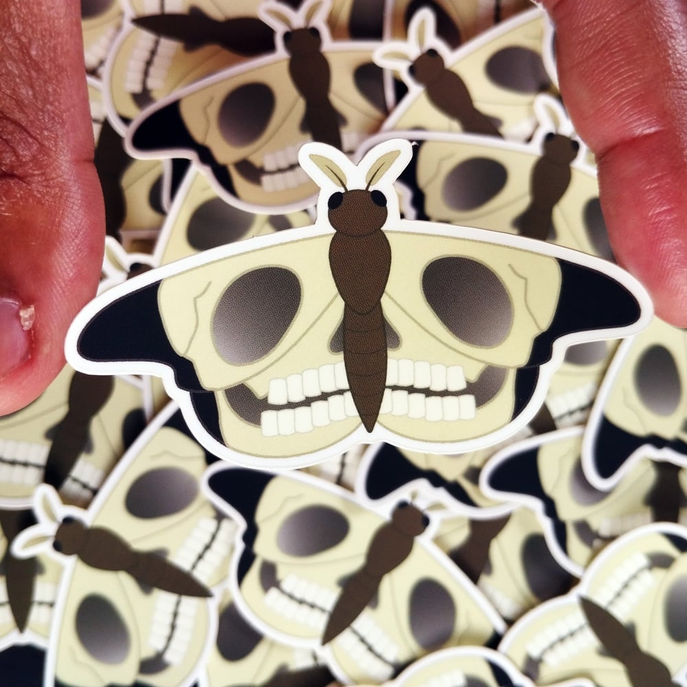 Image of skull moth vinyl sticker