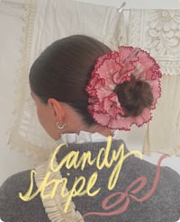 Image 1 of Candy Stripe Scrunchie