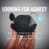 Agnes Waitlist