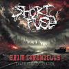 Grim Chronicles - Chapters of Desolation