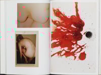 Image 5 of Aaron McElroy - I Lied