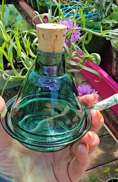 Image of Wine Bottle Inspired Dish