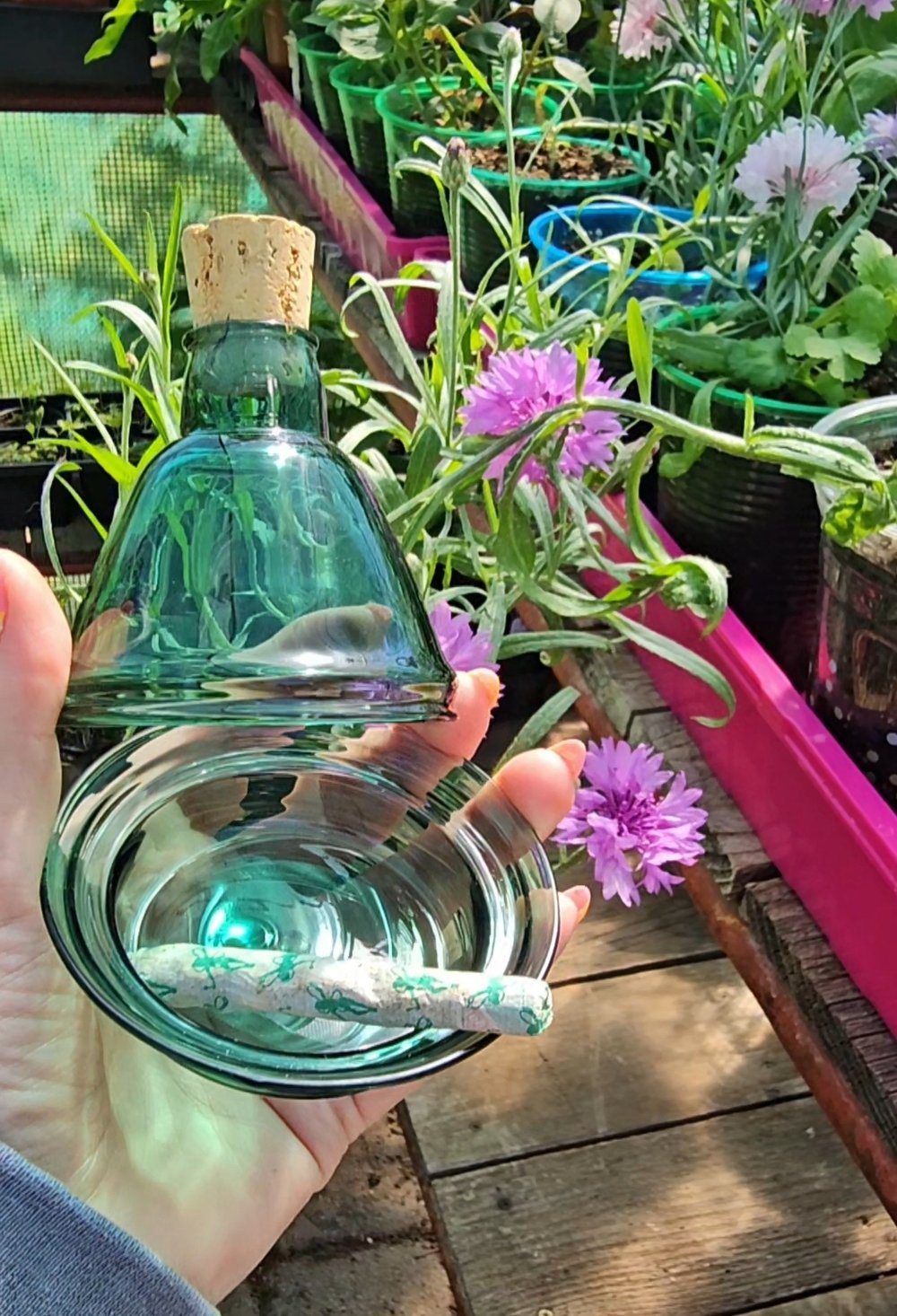 Image of Wine Bottle Inspired Dish