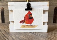 Image 1 of Mini Art Print | Giclée | Cute Red Cardinal Bird | ACEO 3.5"x2.5"