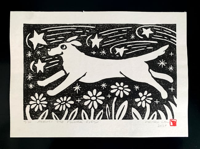 Across the Flower Field