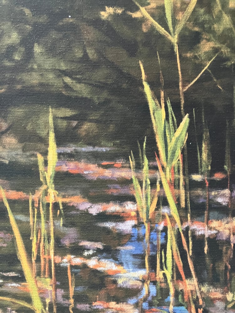 Image of ROUGE HARTLEY