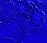 Image 4 of Ocean Series 72