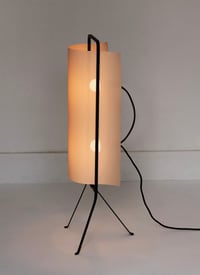 Image 4 of Midday / Medium / Orange Shade
