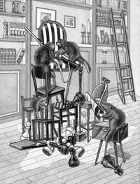 Image 1 of Original work The Illusion of Balance in Interior 2