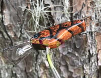 Image 3 of SPEEDBAITS Custom Airbrushed Evergreen Combat Crank CLONE Crankbait GT