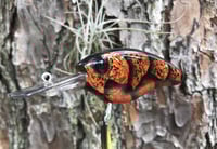Image 4 of SPEEDBAITS Custom Airbrushed Evergreen Combat Crank CLONE Crankbait GT